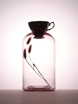 pink vase Rowan Fee Photography STILL LIFE